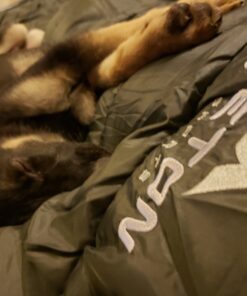 TETON Sports Mammoth Queen Size Sleeping Bag- Double Sleeping Bag – A Warm Bag The Whole Family can Enjoy – Great Sleeping Bag for Camping, Hunting and Base Camp. Compression Sack Included Grey (Cotton Flannel Liner) Mammoth 0F 61 B1p nc sWS