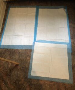 American Kennel Club Scented Puppy Training Pads with Ultra Absorbent Quick Dry Gel – 22 x 22 Puppy Pads - Fresh Scented - Pack of 50 22" x 22" - Pack of 50 23 B1pGBrMy18S