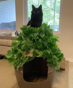 Good Pet Stuff, The Original Hidden Litter Box, Artificial Plants & Enclosed Cat Planter Litter Box, Vented & Odor Filter, Easy to Clean, Mocha Brown , 20" wide x 19 3/4" 40 B1px5MvZbvS 1