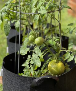 VIVOSUN 5-Pack 10 Gallon Plant Grow Bags, Heavy Duty Thickened Nonwoven Fabric Pots with Handles Black 10 Gallons 56 B1qPqpaDofS