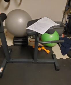 Marcy Adjustable Hyper Extension Bench Standard 45 B1qnR9eDqcS