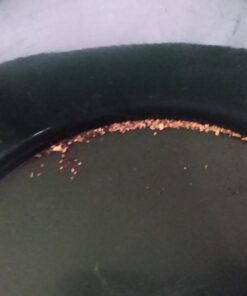 SE 14 Inch Gold Panning Pan - Dual Riffles for Easier Mining and Prospecting, Green 14" 29 B1rRIEWwwWS