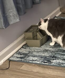 PetSafe Multi-Tier Fountain – Large Waterer Great for Cats and Dogs – 2 Heights to Drink From – Great for Senior Pets – 100 Oz Capacity – Fresh, Filtered Water 37 B1scCrhVrQS