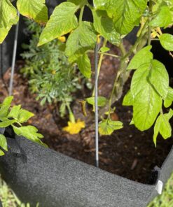 VIVOSUN 5-Pack 10 Gallon Plant Grow Bags, Heavy Duty Thickened Nonwoven Fabric Pots with Handles Black 10 Gallons 57 B1t9o1apUHS