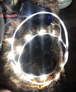 POWER PRACTICAL Luminoodle - The Original LED Light Rope for Camping - 5ft Waterproof USB Powered LED String Lights + Lantern for Hiking, Safety, Emergencies 5 FT 39 B1tQ1Z7TgjS