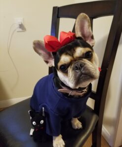 GUND Jiji Seated Small 24 B1ugb0Av1TS