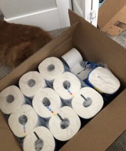 Cottonelle Ultra Clean Toilet Paper with Active CleaningRipples, 1-Ply, 24 Family Mega Rolls (4 Packs of 6) (24 Family Mega Rolls = 132 Regular Rolls), 388 Sheets per Roll, Packaging May Vary 37 B1usXVw tES