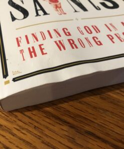 Accidental Saints: Finding God in All the Wrong People 3 B1wKP0UskPS