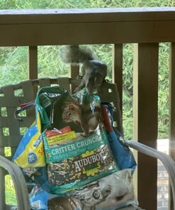 Audubon Park 12243 Critter Crunch Wild Bird and Critter Food, 15-Pounds 35 B1wN0IgouS