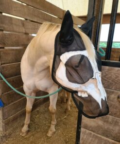 Cashel Quiet Ride Horse Fly Mask with Long Nose and Ears, Black, Horse 20 B1wbKT9yCzS