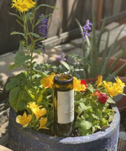 REMIAWY Plant Watering Devices 6 Pack Terracotta Vacation Plant Waterer Wine Bottle Watering Stakes Slow Release Plant Watering Spikes Perfect Self Watering Devices for Indoor Outdoor Plants 38 B1xIlmG4bzS