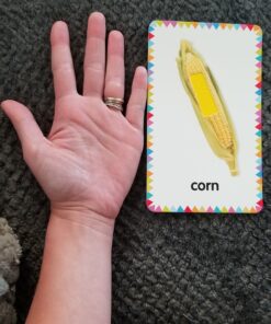 My First Touch and Feel Picture Cards: First Words (My First Board Books) 41 B1xM2srdr3S