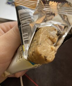 Raw Rev Vegan High-Protein Bars, Creamy Peanut Butter & Sea Salt, 12g Plant Based Protein, 13g Fiber, 1.6 Oz, Pack of 12 12 Count (Pack of 1) 18 B1xOxXSVzdS