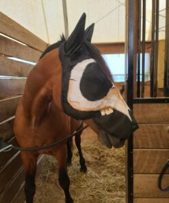 Cashel Quiet Ride Horse Fly Mask with Long Nose and Ears, Black, Horse 21 B1xxOtxTI5S