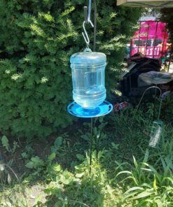 Perky-Pet 780 Outdoor Hanging Water Cooler Bird Waterer and Dispenser,Blue, 1.5 Qt Capacity 34 B1yCQpc5NnS