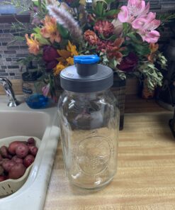 Ball 1 64oz Wide Mouth Half Gallon Mason Jar 34 B1yDf5E6i6S
