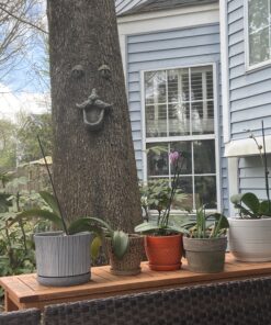 Tree Face Bird Feeder (Hand Painted) Fun Outdoor Decor Includes Glow in The Dark Eyes 25 B1z PAsPj1S