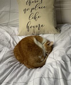 Foamily Throw Pillows Insert Set of 2 - 18 x 18 Insert For Decorative Pillow Covers - Made in USA - Bed and Couch Pillows Down Alternative 18x18 Inch (Pack of 2) 33 B1zE9TTqQTS