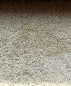 Carpet Miracle - Carpet Cleaner Shampoo Solution for Machine Use, Deep Stain Remover and Odor Deodorizing Formula, Use On Rug Car Upholstery and Carpets (32FL OZ) Spring Mint Scent 32 Fl Oz (Pack of 1) 54 B1zFiYcwS2S