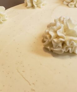 Vanilla Bean Paste for Baking - Heilala Vanilla, the Choice of the World's Best Chefs and Bakers, Made Using Sustainably and Ethically Sourced Vanilla Pods, Value Size - 13.52 fl oz 13.53 Fl Oz (Pack of 1) 29 B1zTy1oZsWS