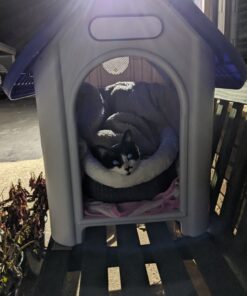 always-quality Indoor Outdoor Dog House Small to Medium Pet All Weather Doghouse Puppy Shelter Blue 30 B1zZMjdVbQS