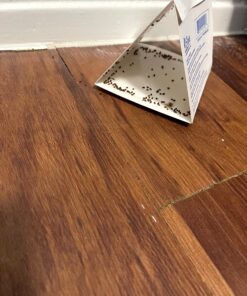 Pro Pest Pantry Moth & Beetle Traps 2 Pre-Baited Traps 29 B1zcVgHfs3S