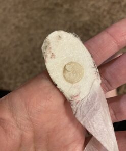 Compound W Maximum Strength One Step Plantar Wart Remover Foot Pads, 20 Count 20 Count (Pack of 1) 53 B1zkcCdkpYS