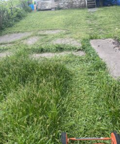 American Lawn Mower Company 1204-14 14-Inch 4-Blade Push Reel Lawn Mower, Red 14-Inch, 4-Blade 57 C1 BCKyu ZS