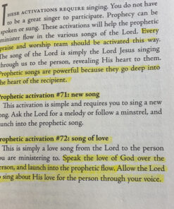 Alternative view of Prophetic Activation: Break Your Limitation to Release Prophetic Influence Paperback