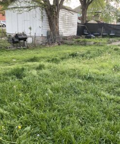 American Lawn Mower Company 1204-14 14-Inch 4-Blade Push Reel Lawn Mower, Red 14-Inch, 4-Blade 58 C10UvAr9W5S