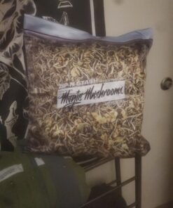 Dope Lab Shroom Stash - Baggie of Psychedelic Magic Mushrooms Pillowcase 15 C1466tHg9qS