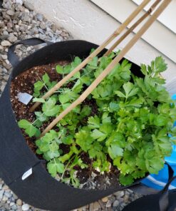 VIVOSUN 5-Pack 10 Gallon Plant Grow Bags, Heavy Duty Thickened Nonwoven Fabric Pots with Handles Black 10 Gallons 52 C181rMu6OQS