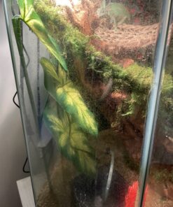 Exo Terra Dripper Plant, Large Standard Packaging 33 C18WAdfIzSS