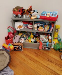 Amazon Basics Children's 3 Shelf Multi-Functional Bookcase and Toy Storage Bin - Grey, 14.84"D x 31.25"W x 24.56"H 33 C19N9htDwYS