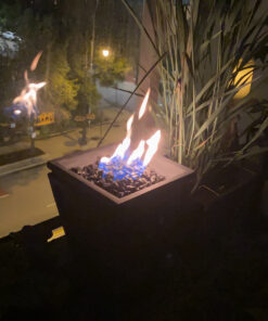 2PK 16.OZ Prop Bottle (Pack of 2) 22 C19SNIMtVcS