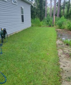 Scotts Turf Builder Lawn Food - Fertilizer for All Grass Types, 5,000 sq. ft., 12.5 lbs. 5,000 sq. ft. 40 C1Asgkrc8SS