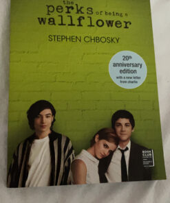 The Perks of Being a Wallflower 25 C1BWtYSh 3S