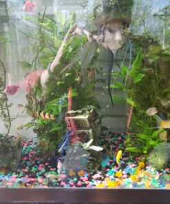 SunSun JUP-01 9W UV Sterilizer Submersible Filter Pump 65 C1BguY4jIXS