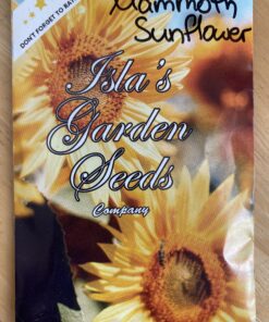 Mammoth Grey Stripe Sunflower Flower Seeds, 50+ Heirloom Seeds Per Packet, (Isla's Garden Seeds), Non GMO Seeds, Botanical Name: Helianthus annuus 25 C1GeRjJXFhS