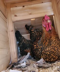 Alternative view of Happy Hen Treats 6 Oz. Square-Mealworm And Seed, 4.25" By 4.25" By 1.25"