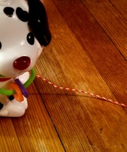 VTech Pull and Sing Puppy 39 C1GpKWm5WS