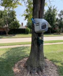 Little Giant® Plastic Chicken Nesting Box | Chicken Nest Box for Laying Hens | Chicken Bed | Egg Laying Chicken Box | Chicken Perch | Nesting Box for Chicken Coops 30 C1HZSGUFsgS