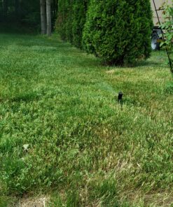 Rain Bird 32ETI Easy to Install In-Ground Automatic Sprinkler System Kit Automatic Sprinkler System Kit w/ Timer 34 C1I4wz MHnS