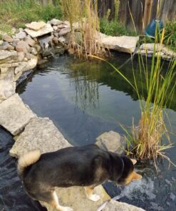 Patch & Shield Power Tape Black - All Weather Patch Water Tape | Stretchy Sealing Tape for Roofing, Waterproof Tape for Pipes | Patch Holes & Cracks | Butyl Tape 4 inch x 5 feet 27 C1IAMdqkKWS