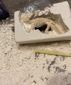 12 Pack: Dinosaur Excavation Kits for Kids, Dino Dig Kits, 3D Dig a Dinosaur Fossil and Figure Sets, Bulk Science Education Toys for Paleontology Archaeology STEM Learning Kids Activity Party Favors 50 C1IWVDQXQPS