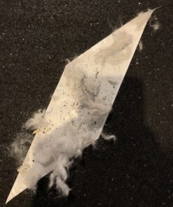 Mammoth Lint Roller-Extra Large Lint Roller, 2 Rollers and 2 Refills, 90 Sheets per Roll, Perfect for Pets (360 Extra Long Sheets Total) 36 C1IoSUYFPHS