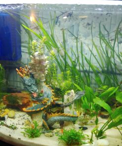 Fluval Aquatic Peat Granules, Chemical Filter Media for Freshwater Aquariums, Water Softener, 17.6 oz., A1465 19 C1JagyU6bnS