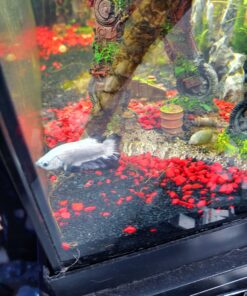 Fluval Aquatic Peat Granules, Chemical Filter Media for Freshwater Aquariums, Water Softener, 17.6 oz., A1465 20 C1JjqgekiMS