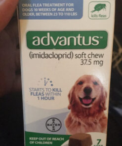 Advantus (Imidacloprid) Chewable Flea Treatment for Large Dogs, 7 Count, 23-110 Pound 38 C1K8RLPuQZS