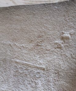 Carpet Miracle - Carpet Cleaner Shampoo Solution for Machine Use, Deep Stain Remover and Odor Deodorizing Formula, Use On Rug Car Upholstery and Carpets (32FL OZ) Spring Mint Scent 32 Fl Oz (Pack of 1) 55 C1Kp IED3uS